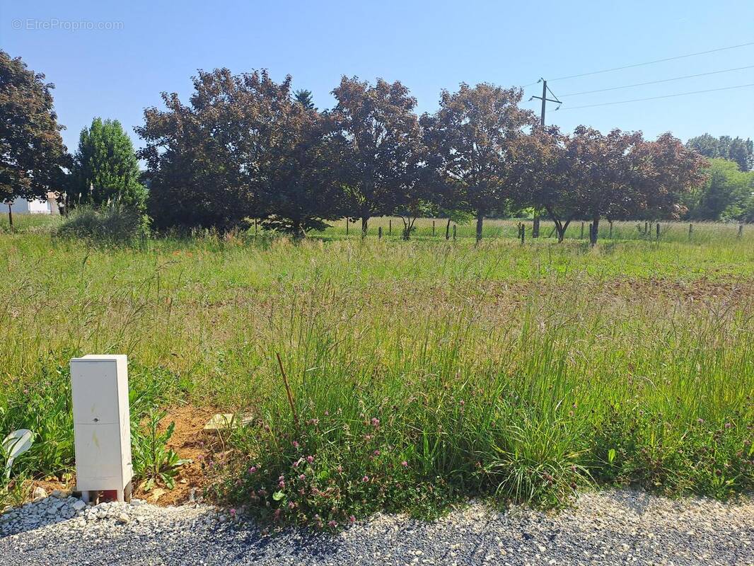Terrain à SAINT-GERMAIN-DU-SEUDRE