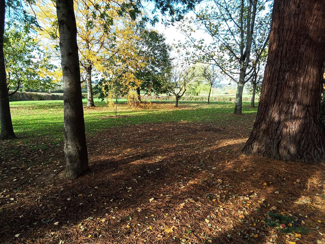 Terrain à PARAY-LE-MONIAL