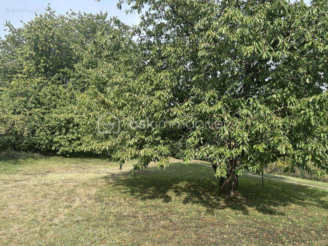 Maison à PONTFAVERGER-MORONVILLIERS