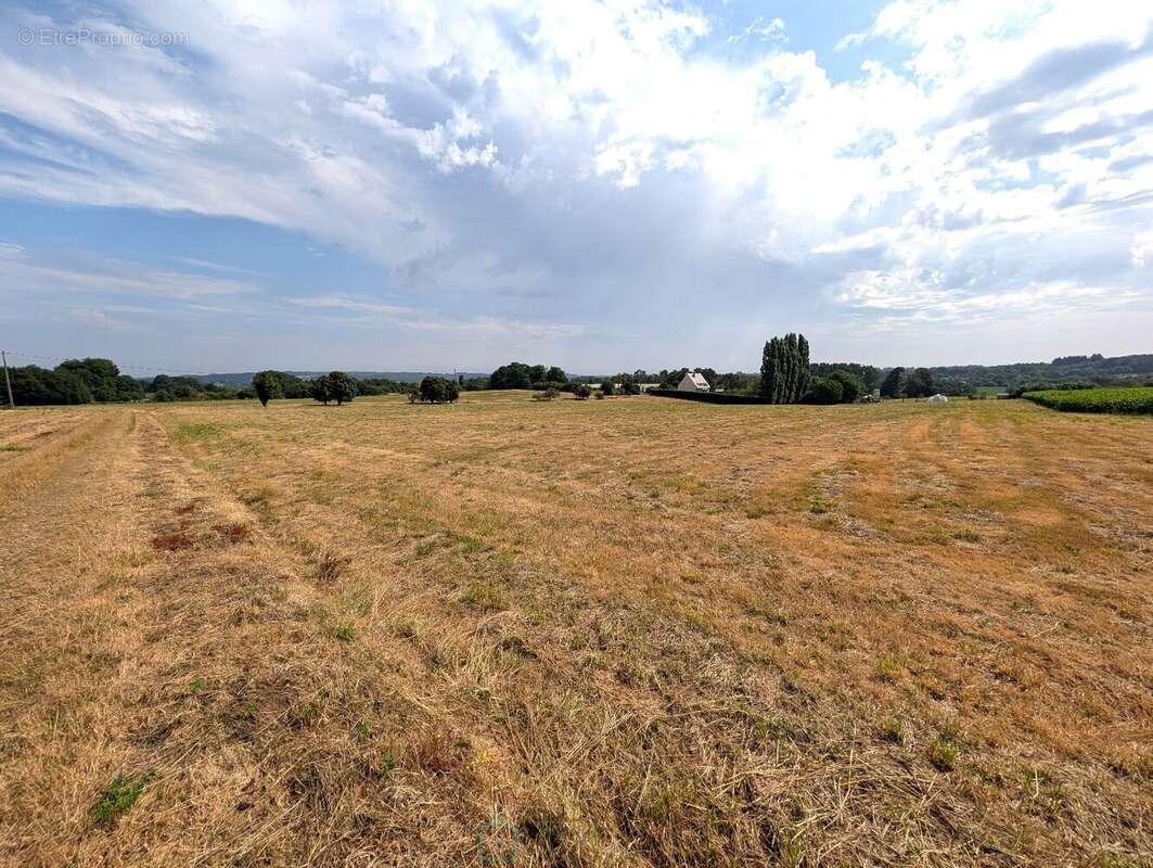 Propriété sur 27 hectares, maison 179 m2, bâtiments de 700 m2 salle de réception et 600 m2 garage - photo 25