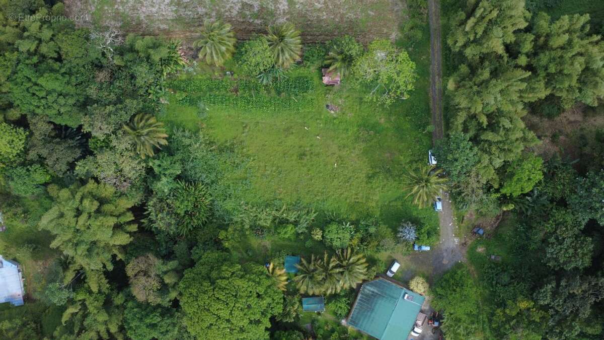 Terrain à LE MORNE-ROUGE