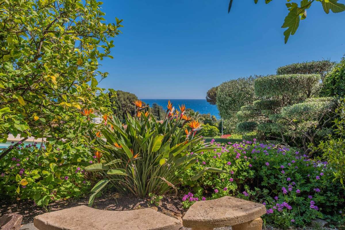 LES ISSAMBRES : Villa tout à pied avec vue mer exceptionnelle - photo 8