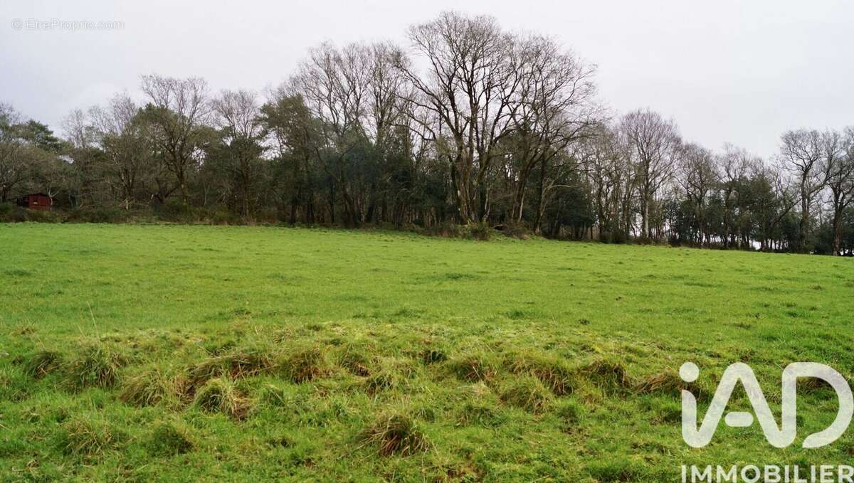 Photo 8 - Maison à PLUVIGNER