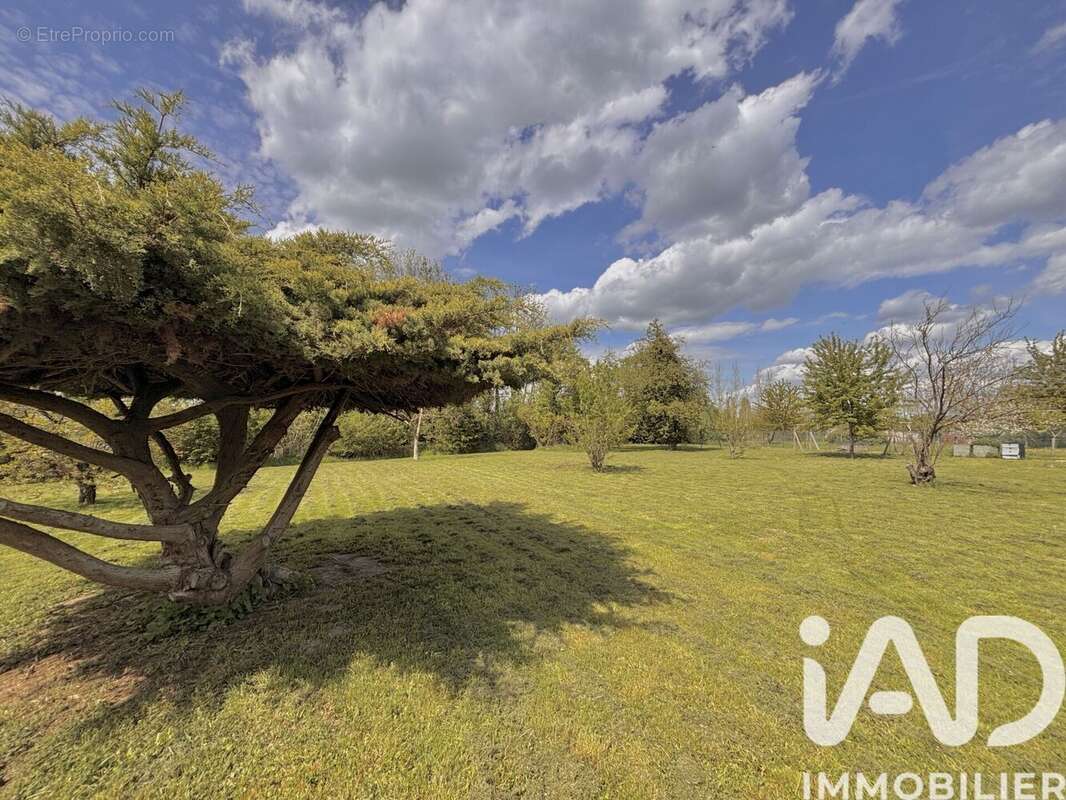 Photo 3 - Maison à LA MOTTE-TILLY