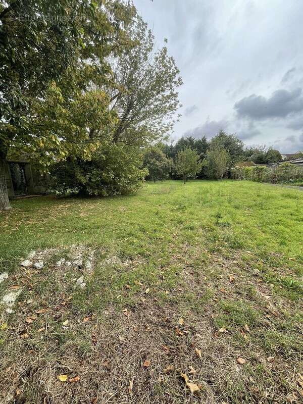 Photo 4 - Terrain à TOULOUSE