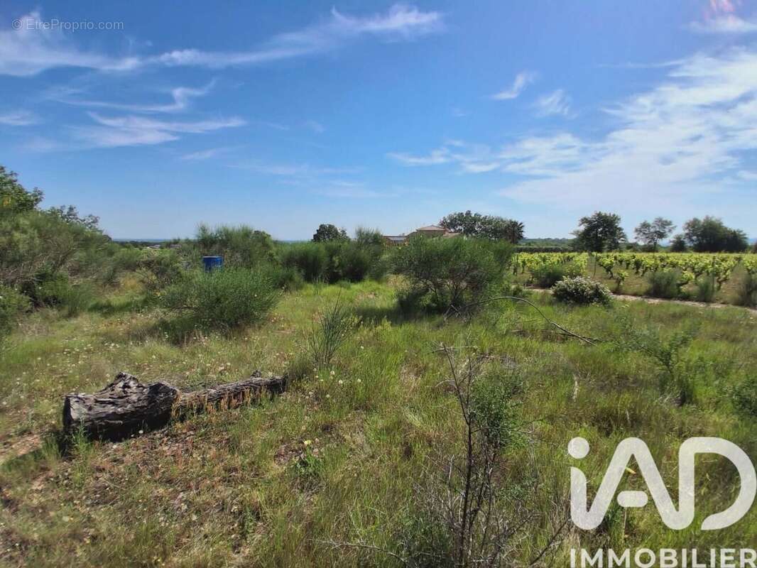 Photo 9 - Terrain à BROUILLA