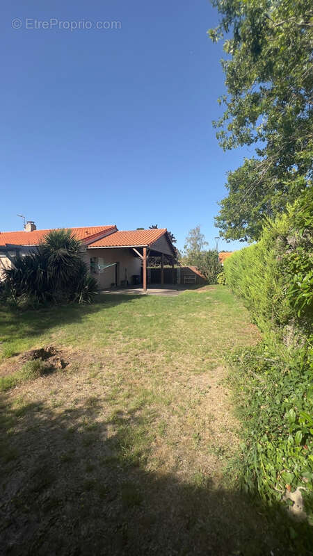 Terrain à SAINT-JULIEN-DE-CONCELLES