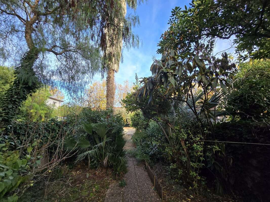 Maison à FRONTIGNAN