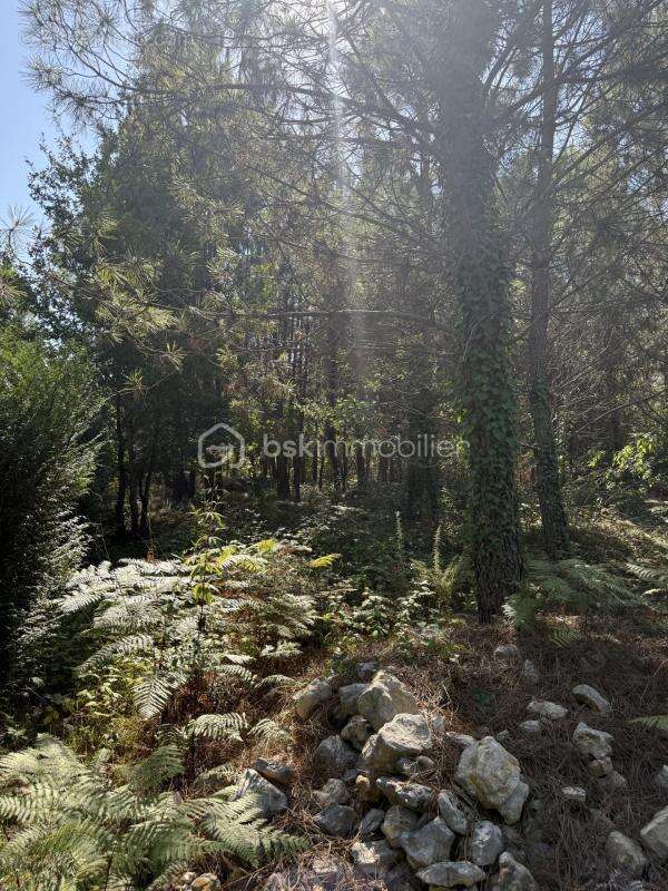 Terrain à FOSSEMAGNE