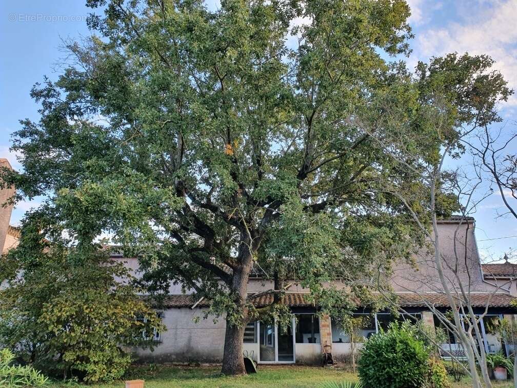 Autre à CASTELNAUDARY