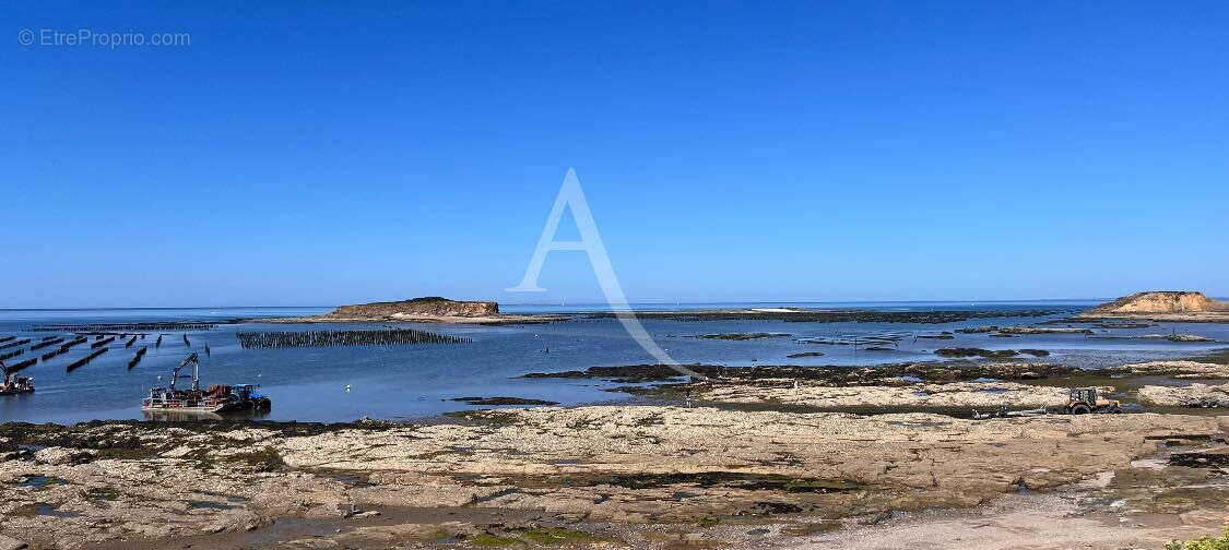 Commerce à PENESTIN