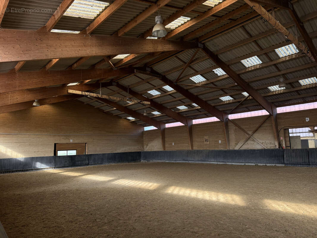 Haras meyrie 2 pièces 49358 m2 - photo 5