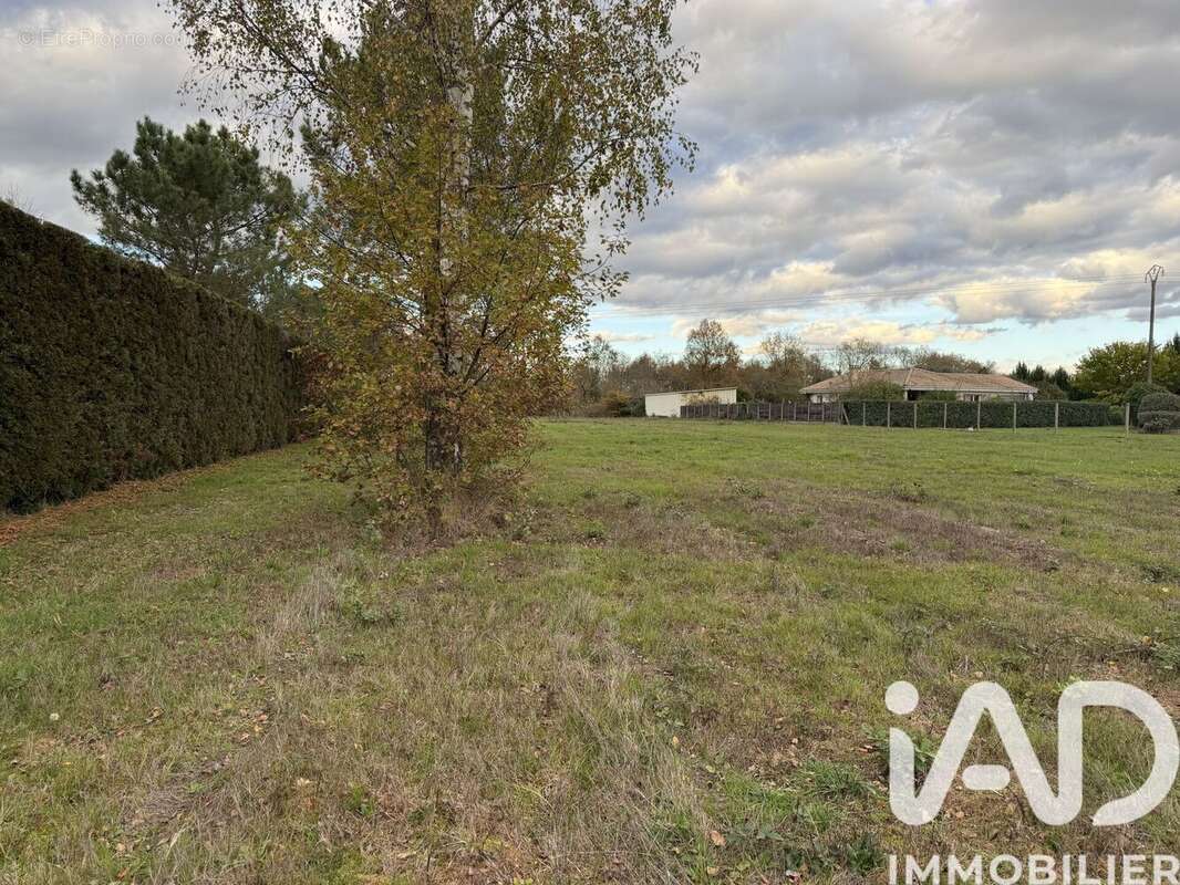 Photo 3 - Terrain à MENESPLET