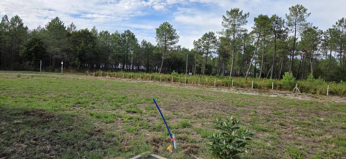Terrain à PARENTIS-EN-BORN