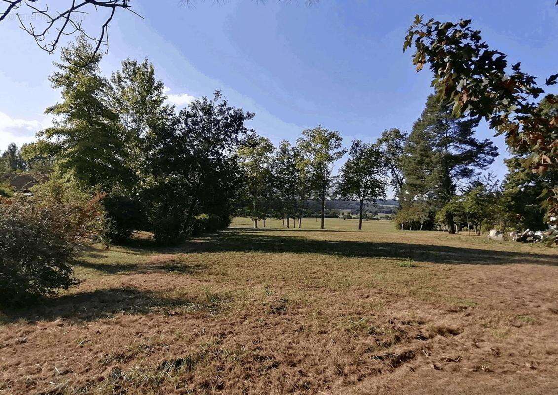 Terrain à BRIATEXTE