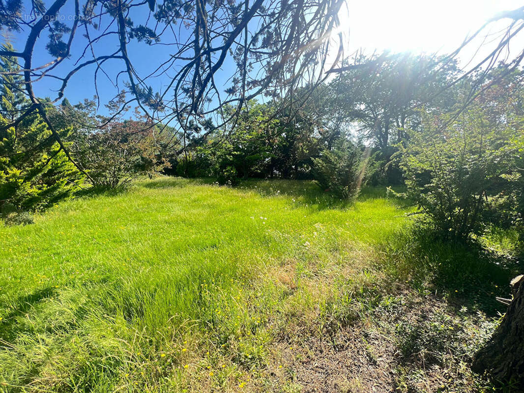 Appartement à MONTRABE