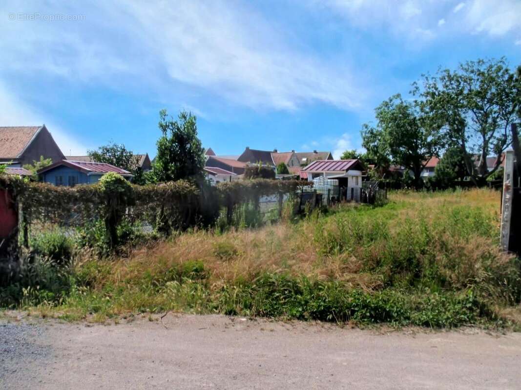 Terrain 650 m² à Leforest  - photo 5