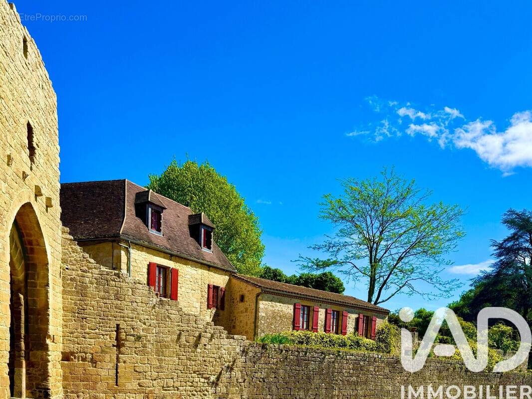 Photo 1 - Maison à DOMME