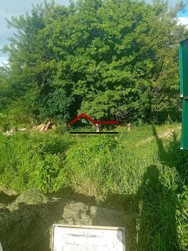 Terrain à LE LAMENTIN