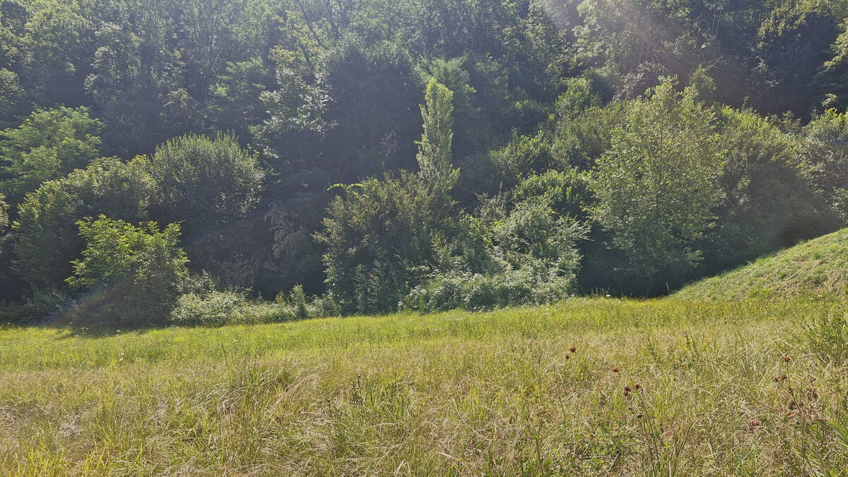 Terrain à LES MOLLETTES