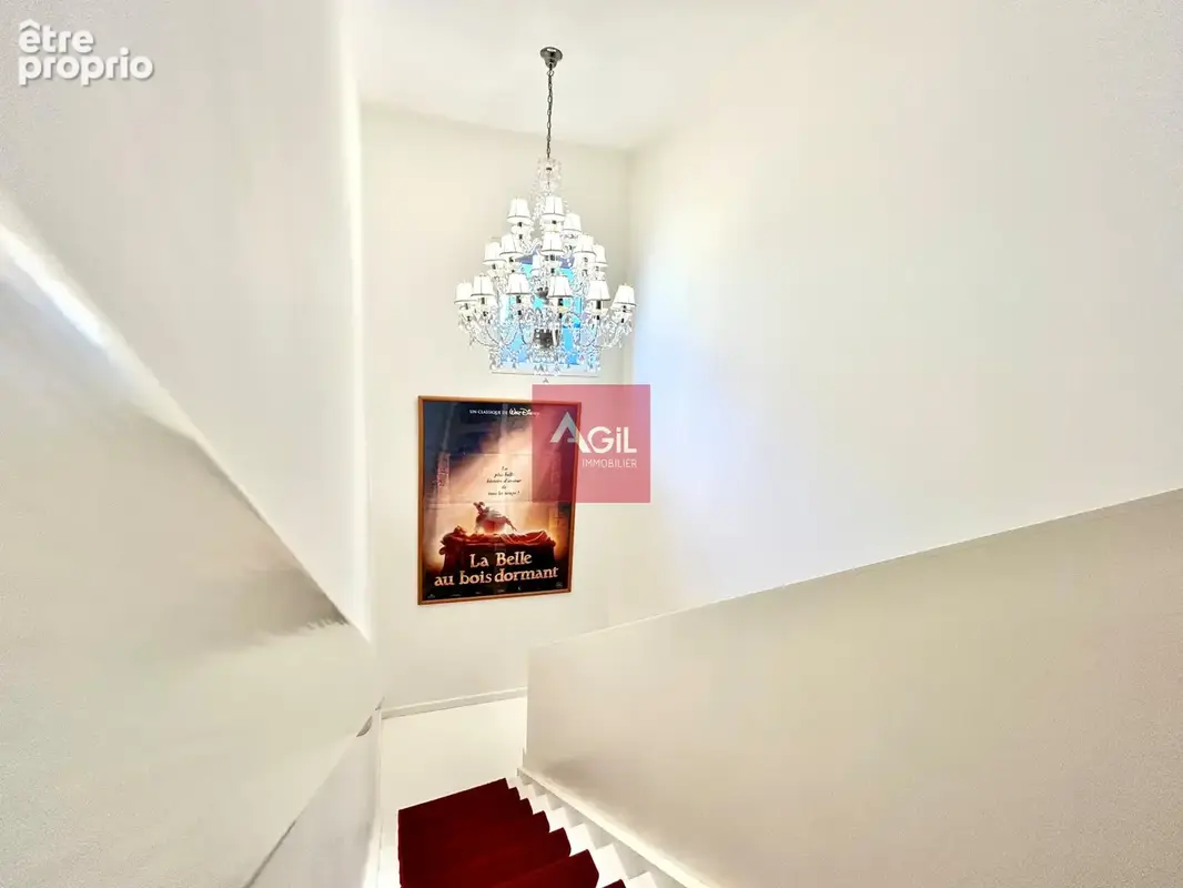 GRENOBLE - Rue Raoul Blanchard : T7 en duplex de 260m2 - photo 16
