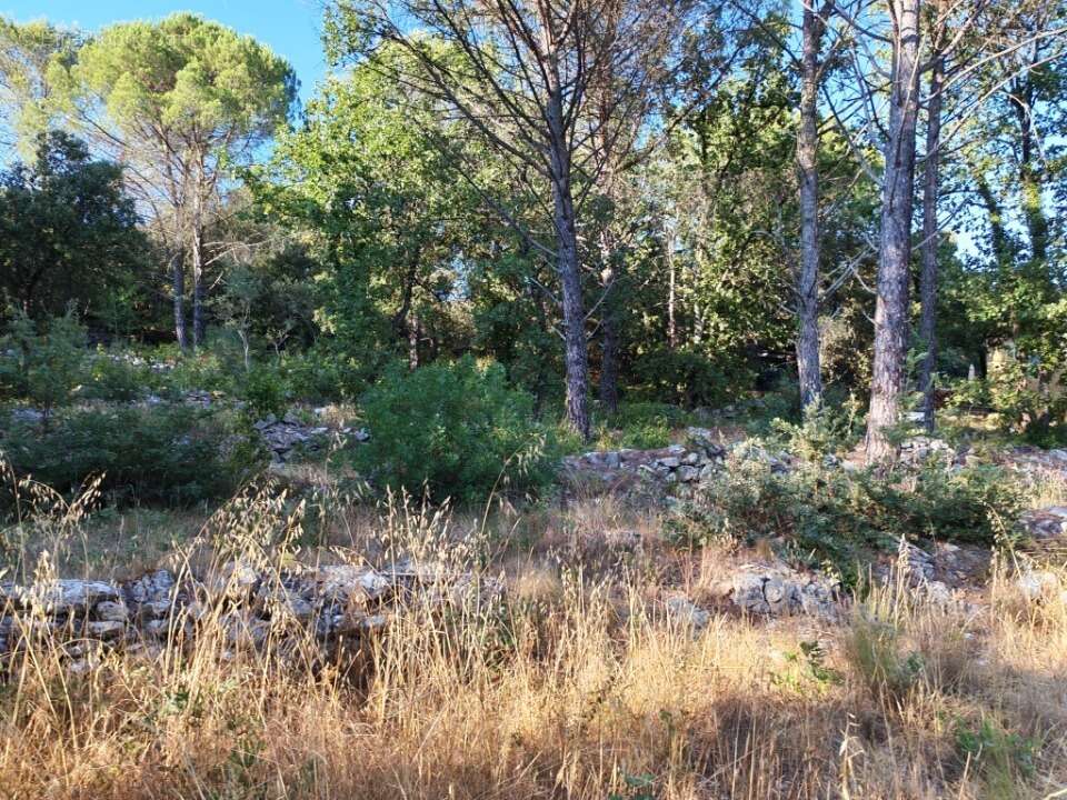 Terrain 1920 m² à Camps-La-Source  - photo 6