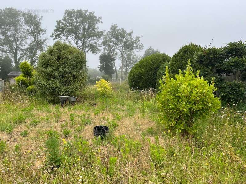 À seulement 5 km de Barneville-Carteret, charmante maison en pierre avec jardin arboré - photo 10