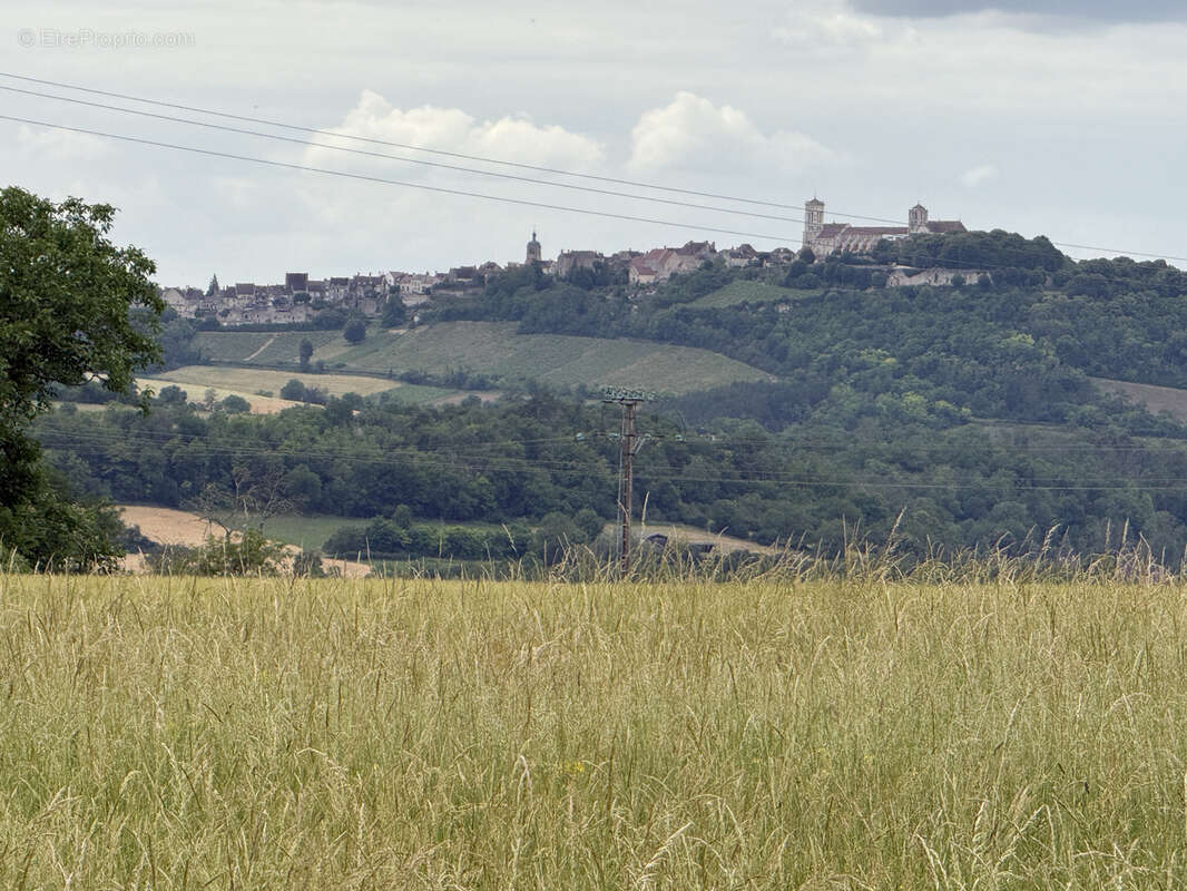 Terrain constructible vue sur Vézelay - photo 3