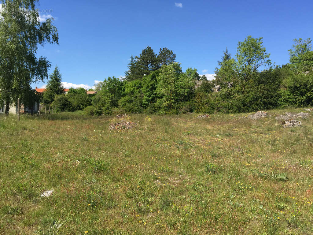 Terrain à lotir ou à bâtir de 2 354 m² - photo 2