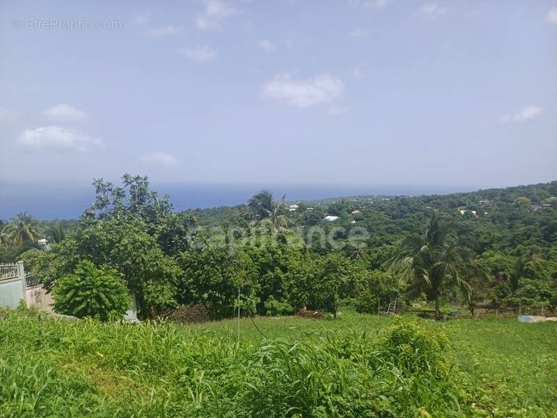 Terrain à BAILLIF