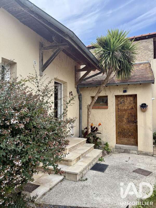 Photo 3