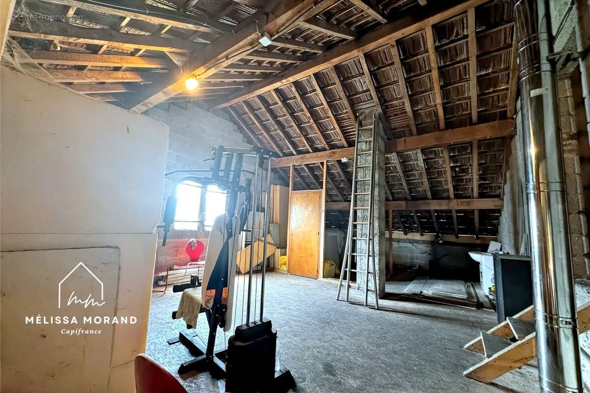 Maison d'habitation rénovée à vendre 7 pièces THUSY (74), terrain de 1ha 40a 83ca - photo 10