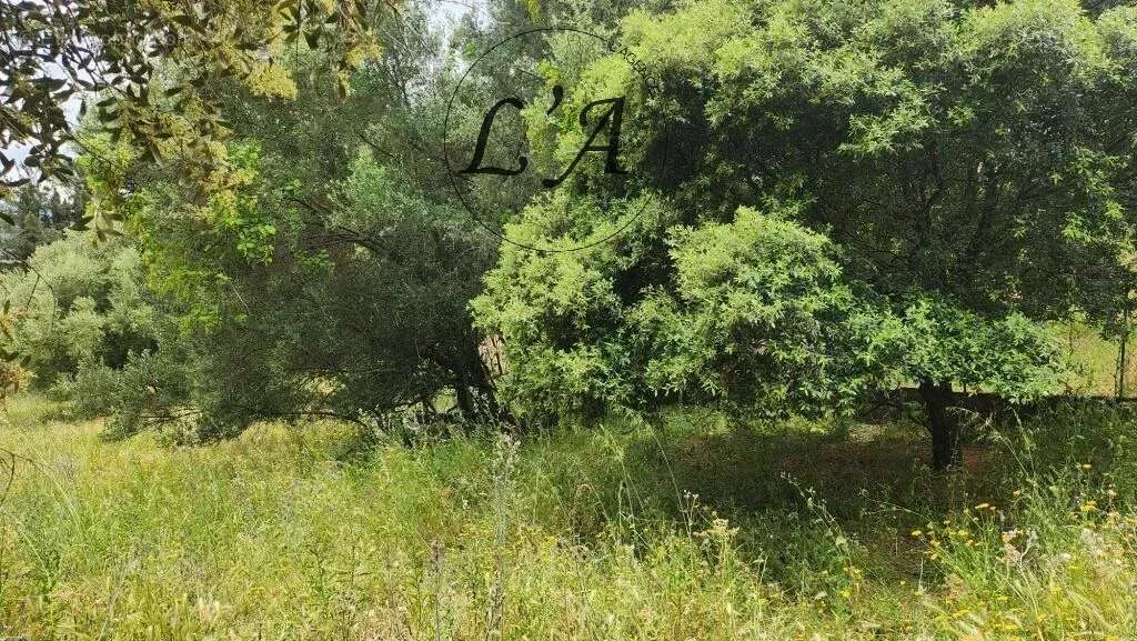 AFA – Terrain constructible de 1 270 m² – Vue campagne – Libre de constructeur - photo 5