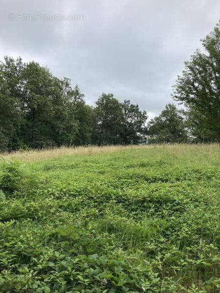 Terrain à CHABRIGNAC