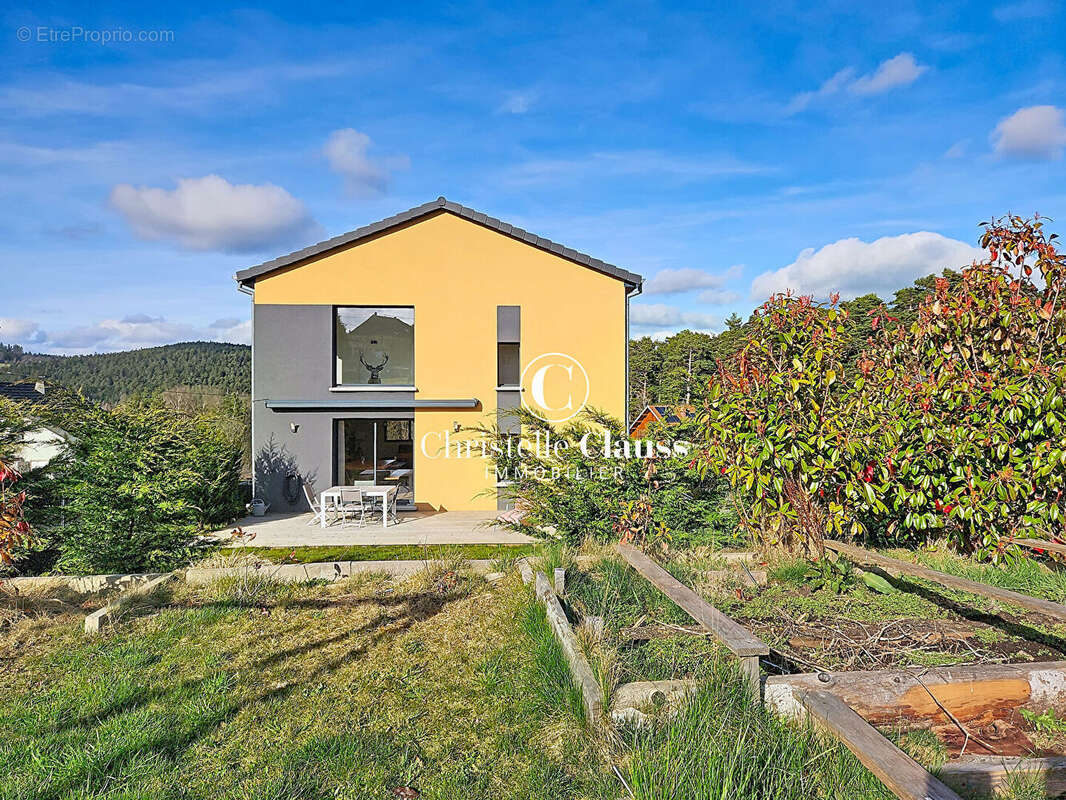 Maison à RIBEAUVILLE