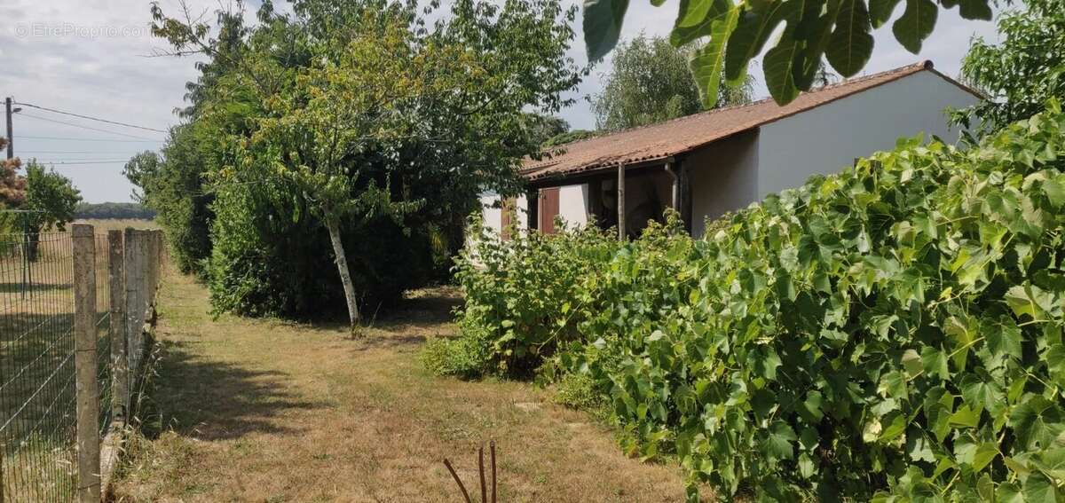 Maison de plain-pied, garage et jardin à vendre à Rioux (17) - photo 46