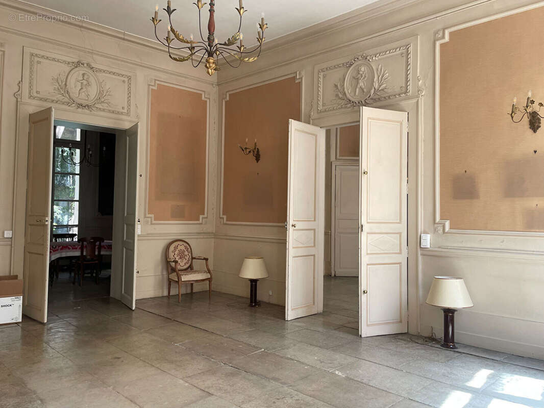 Montpellier ECUSSON - Appartement bourgeois de 232 m2 avec agréable terrasse de 70 m2 - photo 4