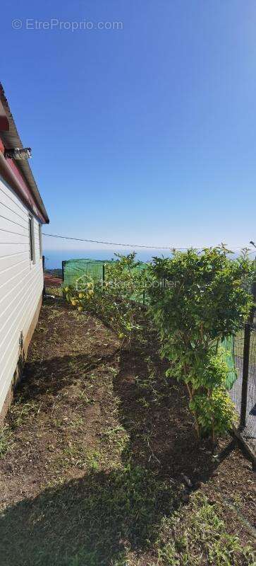  vente – domicile de charme à saint-denis (village du brûlé) - photo 12