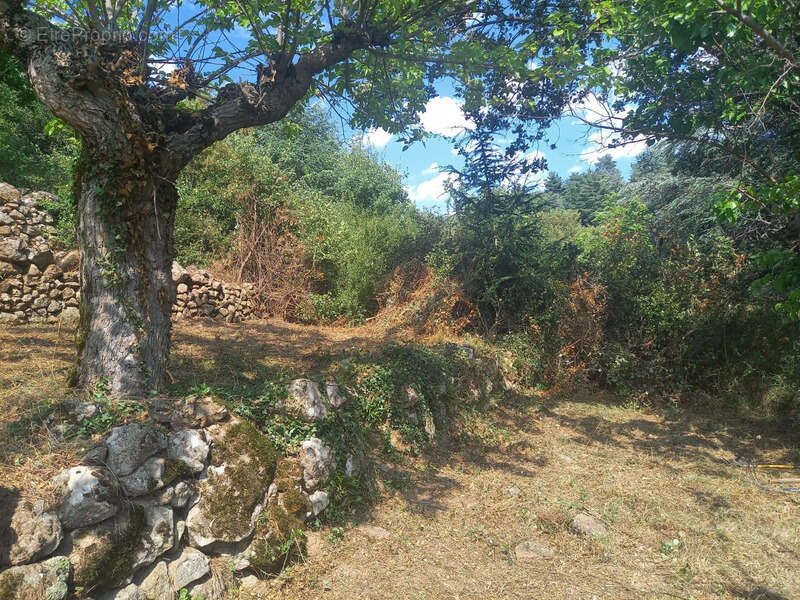 Maison à SAINT-MAURICE-EN-CHALENCON