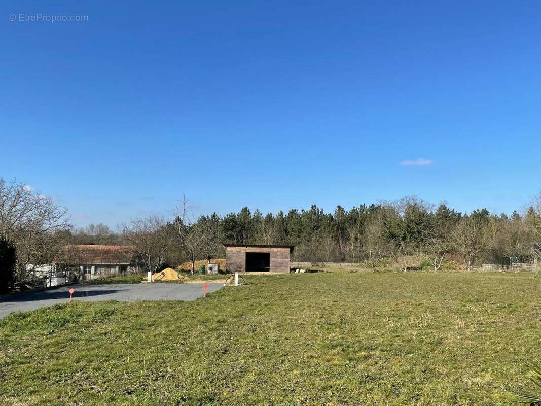 Terrain 534 m² à Connerre  - photo 3