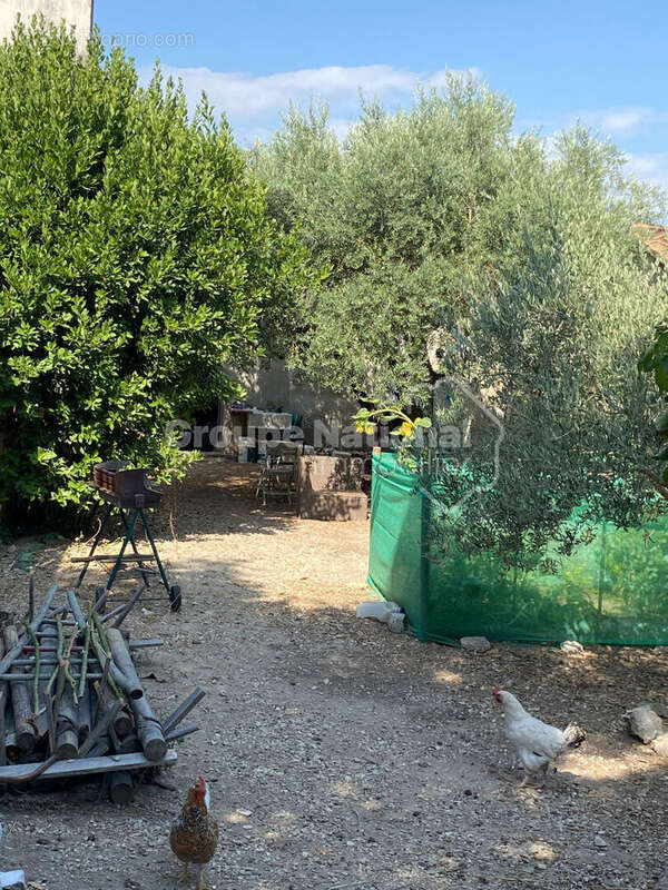 Chateaurenard centre , maison 108 m² + garage 20m² + cour + jardin - photo 4