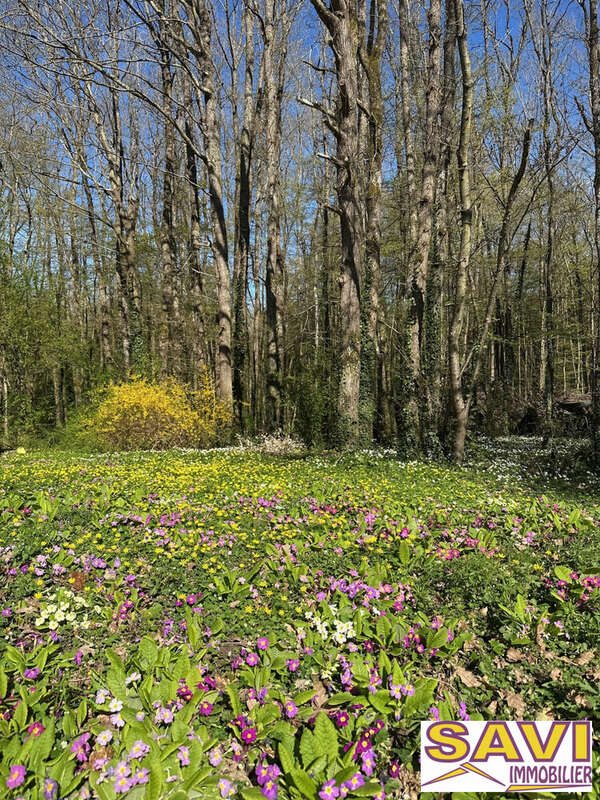 Maison à FERRIERES-EN-GATINAIS