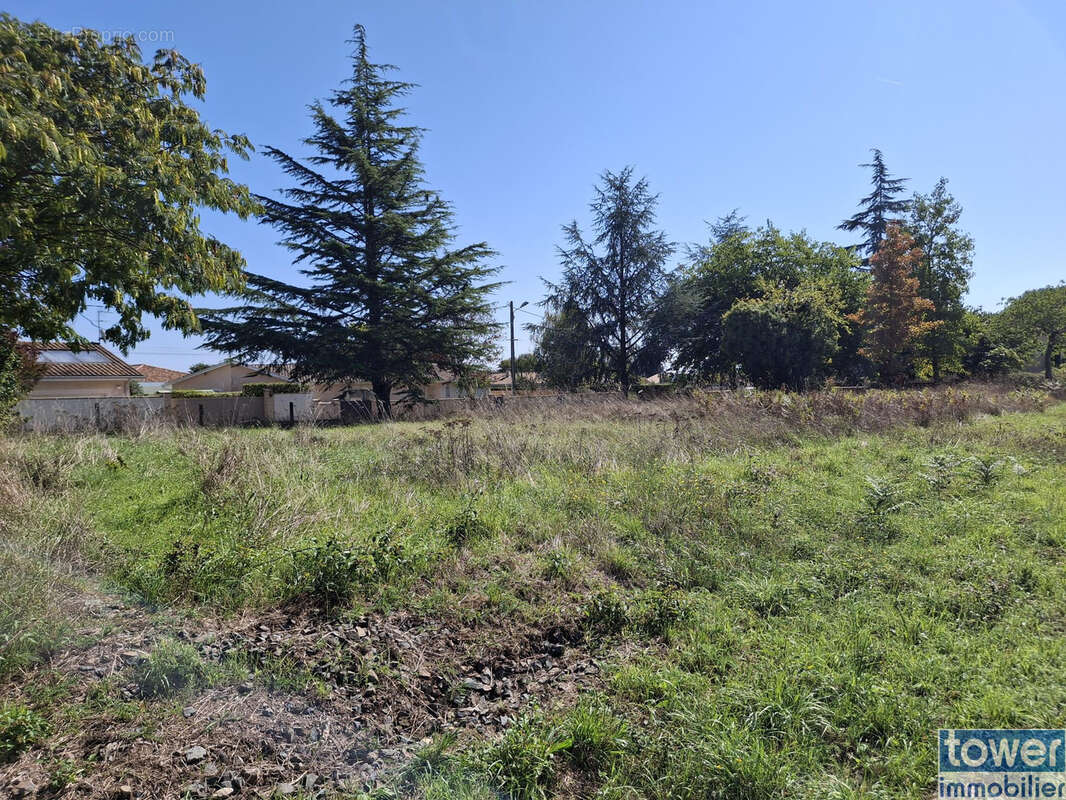 Terrain à LUDON-MEDOC