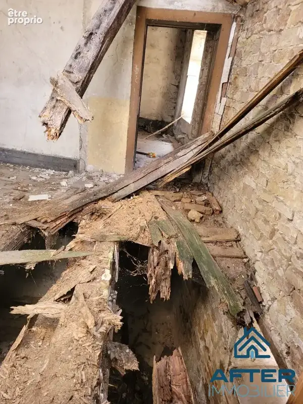Maison 4 pièces 242 m² à vendre à Baccarat (54120) - photo 4
