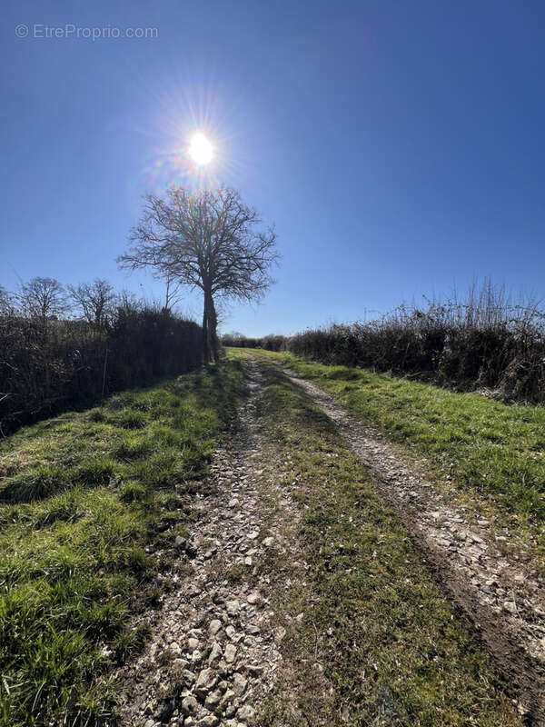 Exploitation céréalière de 170ha dans l'Allier (03) - photo 21