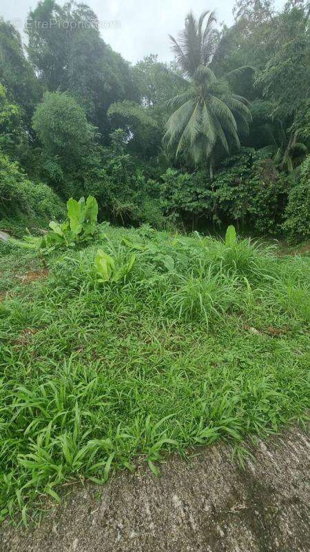 Terrain à FORT-DE-FRANCE