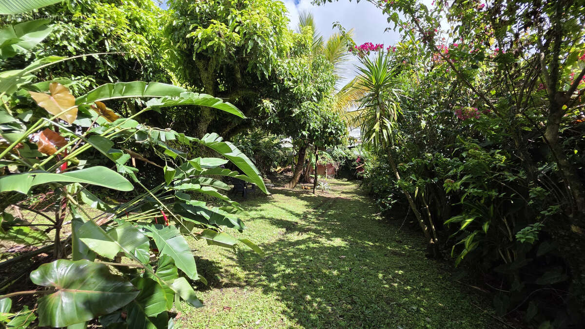 Maison à FORT-DE-FRANCE