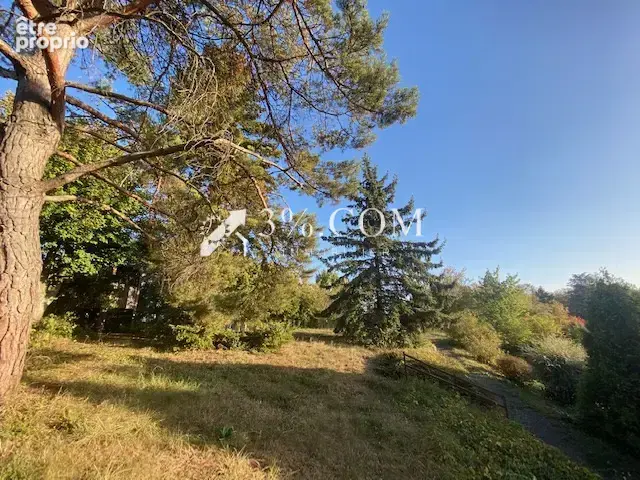 3%COM Belle propriété avec piscine et sauna  sur terrain de - photo 10
