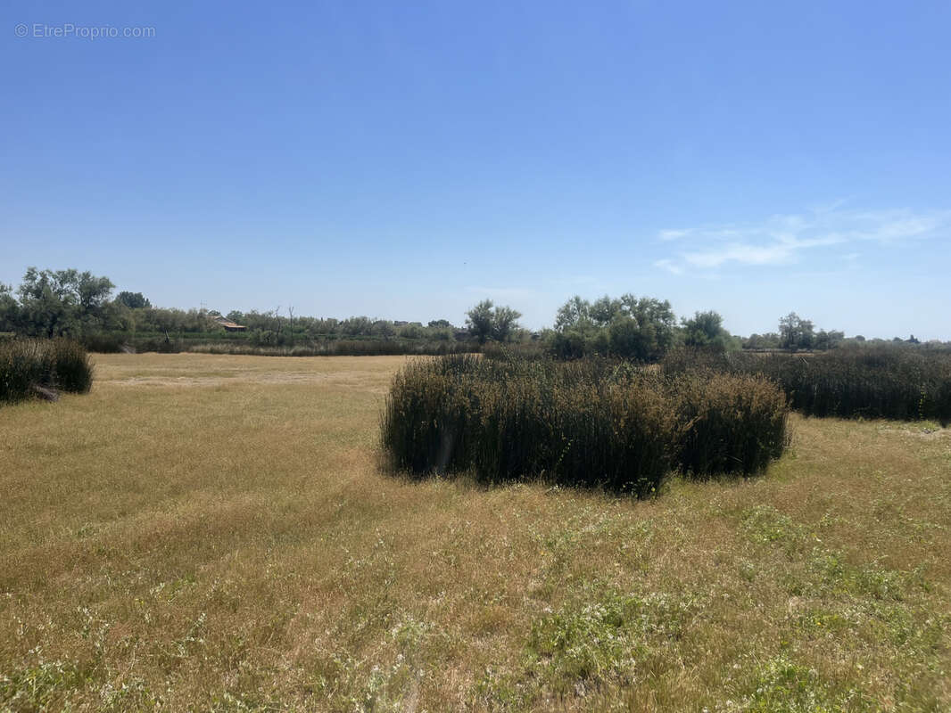 Terrain à AIGUES-MORTES