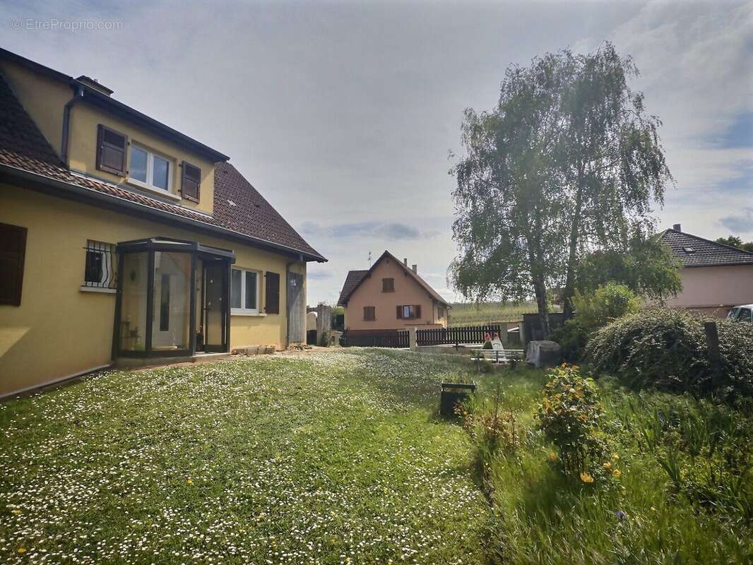 Maison à BEBLENHEIM
